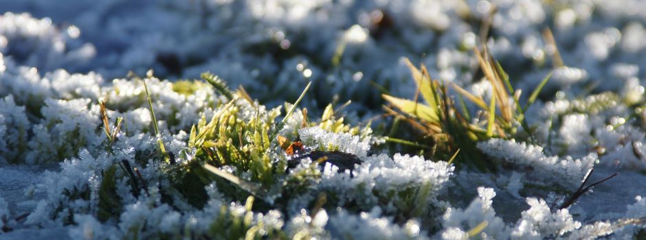 Von Spätsommer auf Winter: Frostwarnung für Mainz
