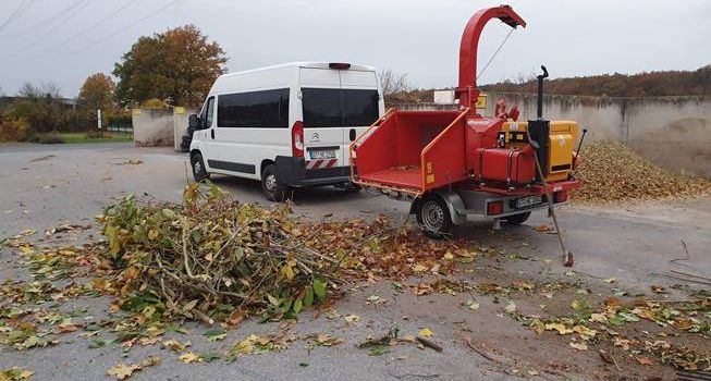 Häckselaktion im November: Bauhof nimmt Baum- und Strauchschnitt an