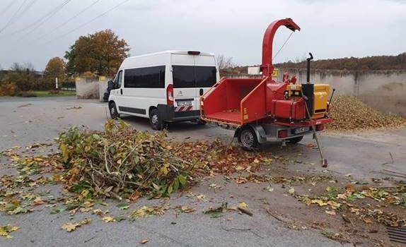 Bauhof nimmt an zwei Samstagen Baum- und Strauchschnitt aus privaten Gärten an