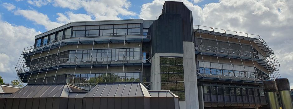 Mehr Grün bei öffentlichen Gebäuden: Mainzer Schule will Vorbild für Stadt sein