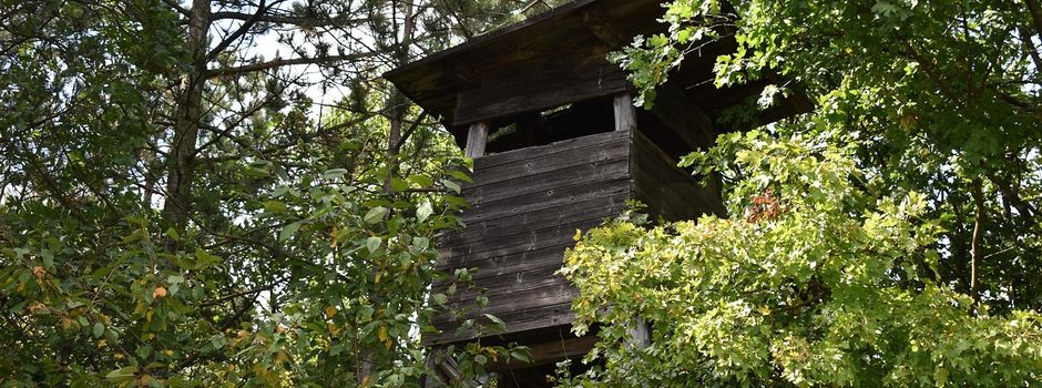Revierübergreifende Drückjagd am Samstag, 06.12.2025