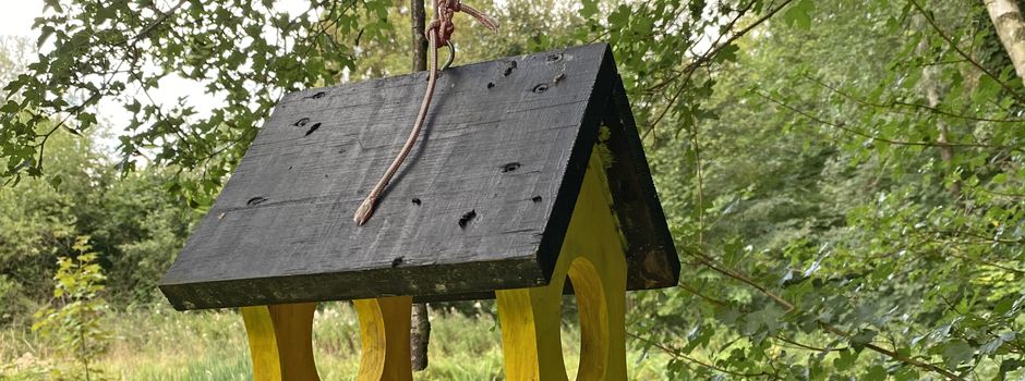 Teil 2: Jacobipark: Wo ein traditionsreicher Königshofener Verein den Grillplatz rettet