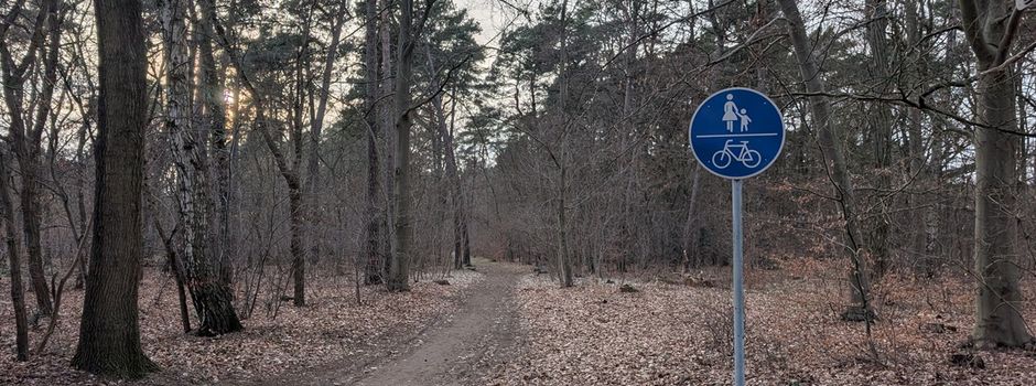 Dauer ca. zwei Wochen: Verkehrssicherungsmaßnahmen im Wesenberger Stadtwald beginnen