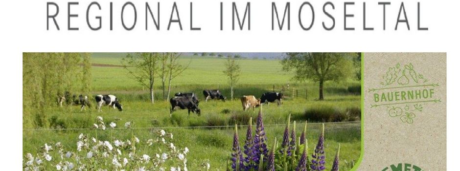 ...das ist doch alles Käse...