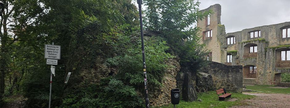 Sensation an der Ruine Landskrone