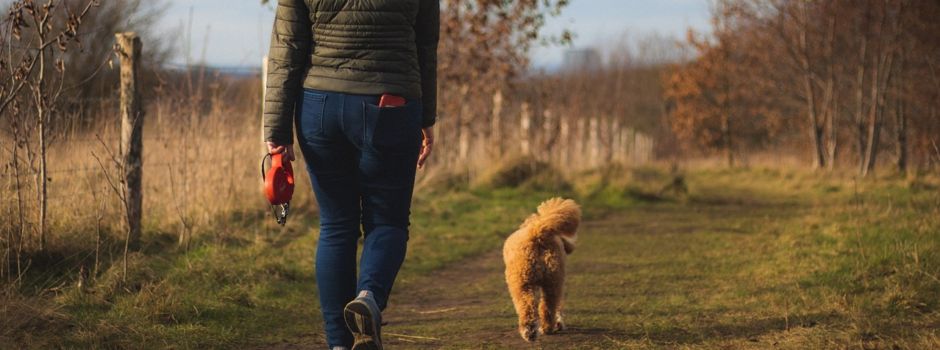 Warnung! Fleischwurstköder mit Nägeln in Lahnstein ausgelegt