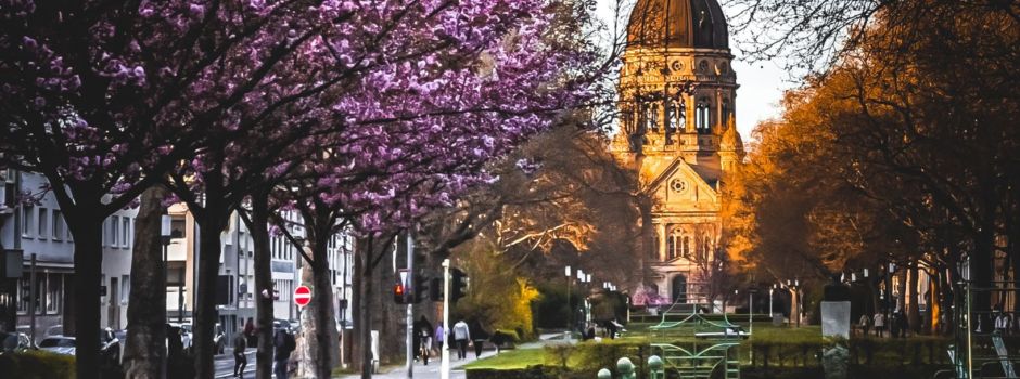 „Blue Punisher“: Mainzer Polizei stellt lebensgefährliche Drogen sicher