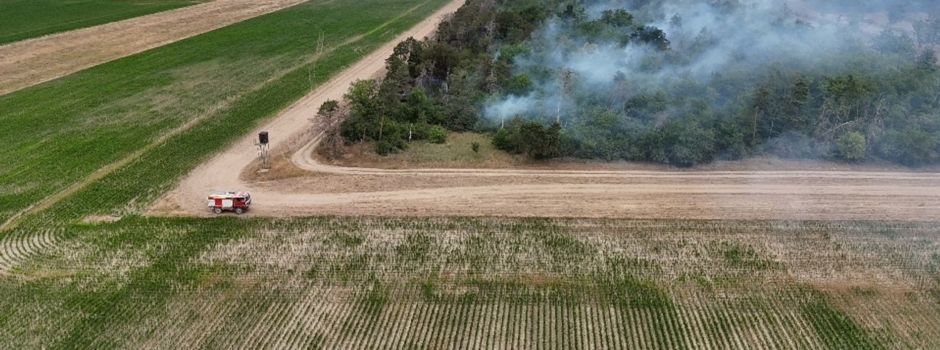 Mehrere Wälder im Osten Deutschlands brennen