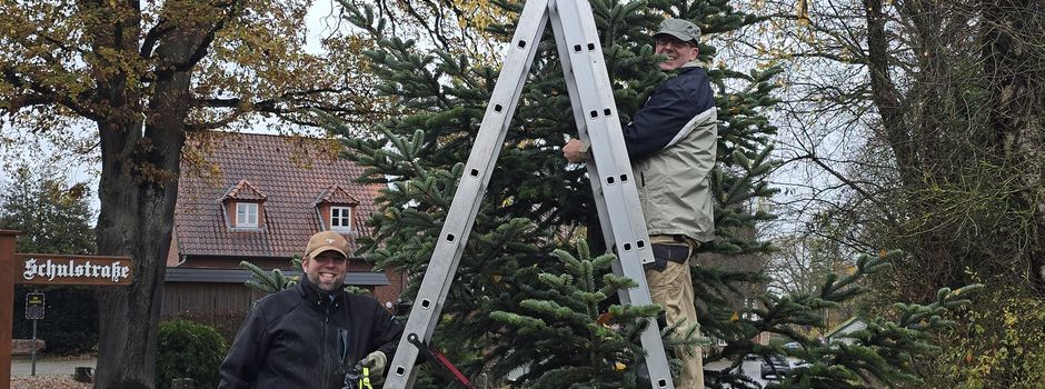 Weihnachtstanne installiert