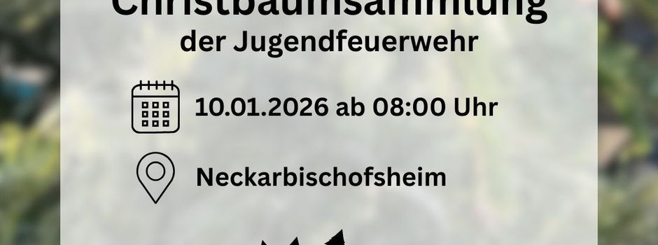 Jugendwehr sammelt Christbäume