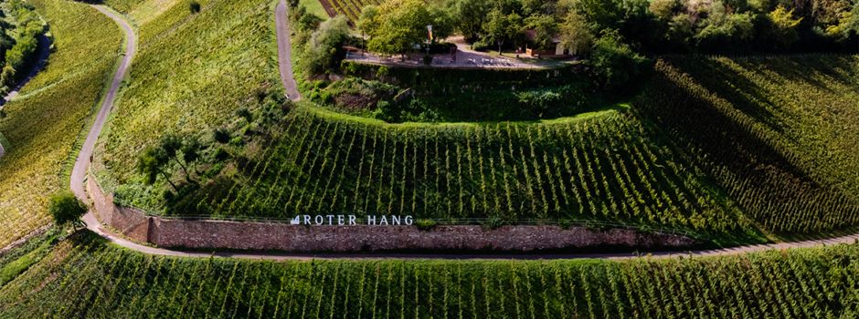 Internationaler Erfolg: „Wein vom Roten Hang e.V.“ holt renommierten Tourismus-Award
