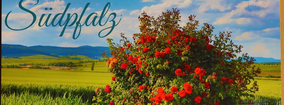 Wandkalender 2024 mit Bild vom Kapeller Rosengarten-Wanderweg erhältlich