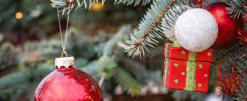 Weihnachtsbaum-Weitwurfmeisterschaft und WaldCafé 60+ bei den Westlichen Wäldern
