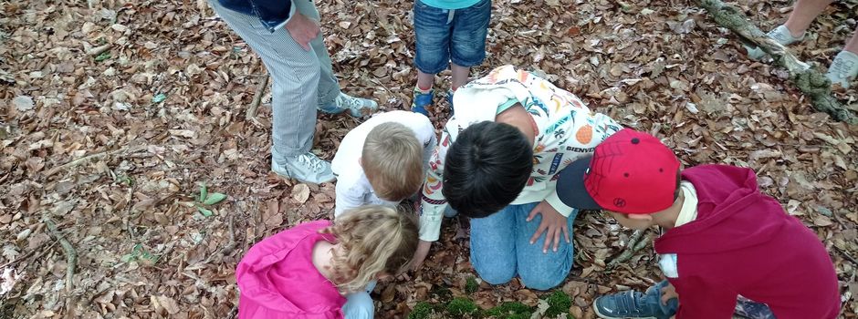 So schön war der Waldspaziergang der Generationen