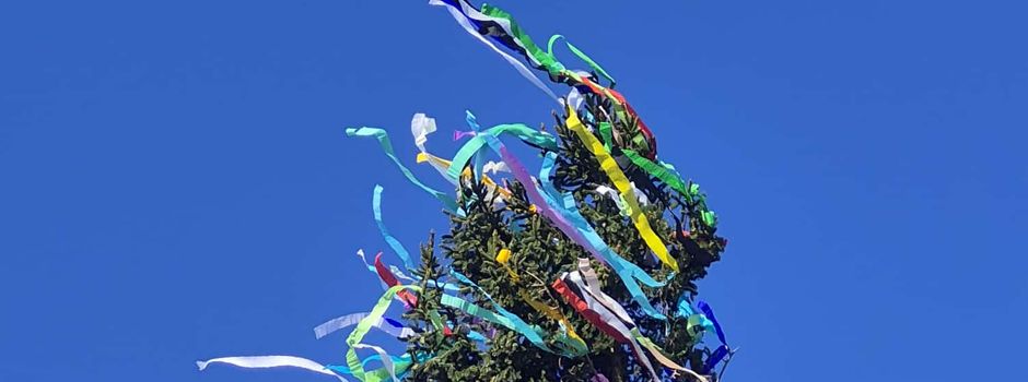 Der Maibaum steht!