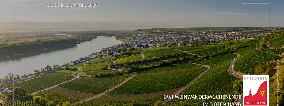 Hoher Besuch am Roten Hang: Königliche Weinwanderung hoch über Nierstein