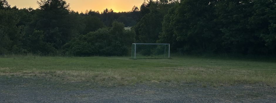 Update: Training Deutsche Doggen Club OG Koblenz