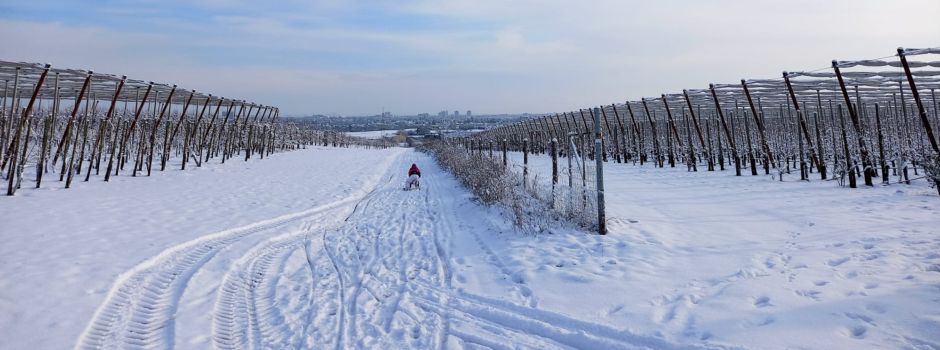 So schön ist Mainz im Schnee