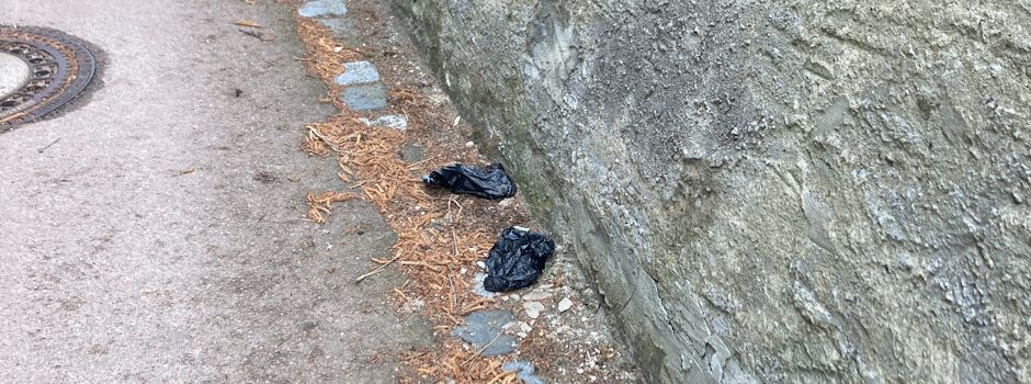 Hundekot und Sauberkeit