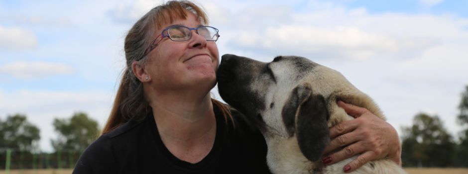 Thema Wolf: „Luzie“ soll in Zukunft als Herdenschutzhund für Sicherheit sorgen