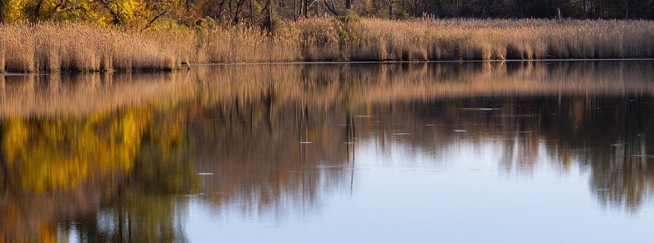 Regenrückhaltebecken Empelde: Unterbrechung der Arbeiten in der 18. KW