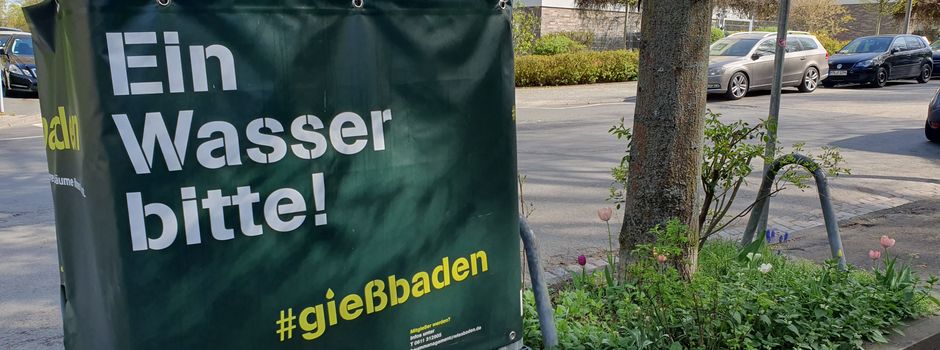 Wiesbadener helfen beim Wässern