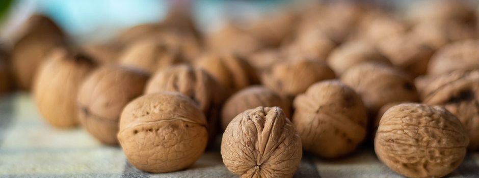 220 Kilo Nüsse geklaut: Diebe auf frischer Tat erwischt