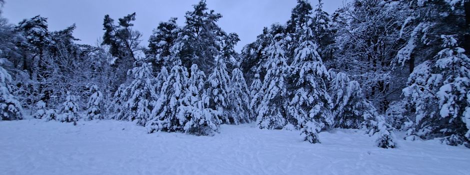 Gefährliche Schneelast: Stadtverwaltung warnt vor Betreten der Wälder