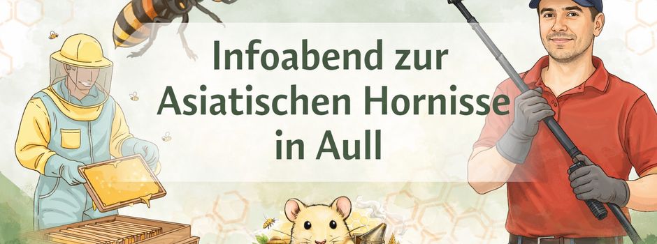 Infoabend zur Asiatischen Hornisse in Aull