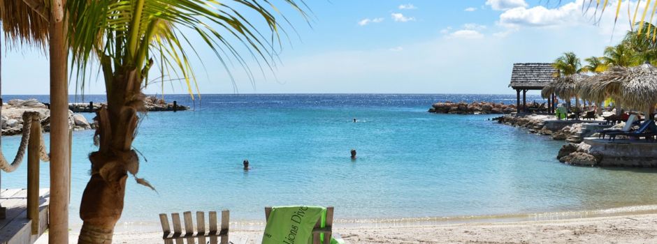 Sommerferien und Urlaubswünsche