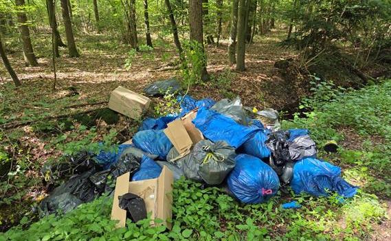 Illegale Müllablagerungen in zwei Waldgebieten: Gemeindewerke suchen Zeugen