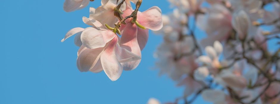 Familiengottesdienst Auerbach