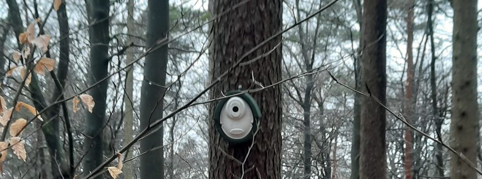 Neue "Wohnungen" in luftiger Höhe