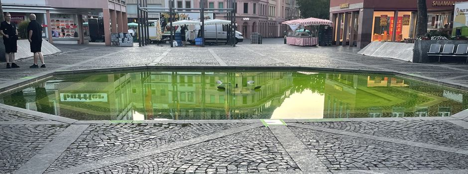 Mainzer OB Haase verteidigt Energieprojekt und kritisiert Aktivisten